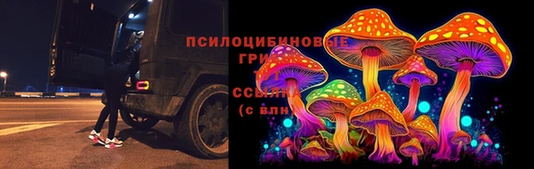 тгк Новодвинск