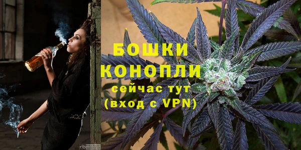 тгк Новодвинск