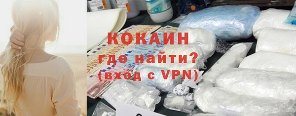 дживик Новозыбков