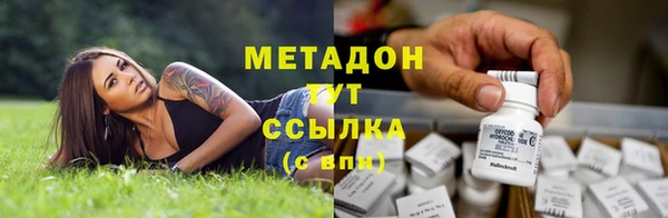 дживик Новозыбков