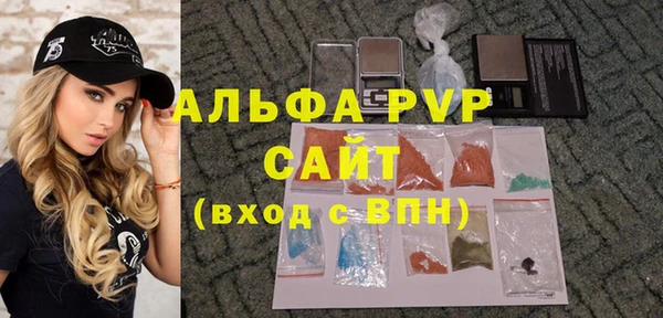 дживик Новозыбков