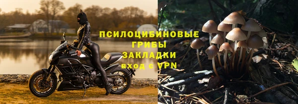 PSILOCYBIN Новокубанск