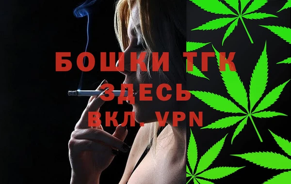 дживик Новозыбков