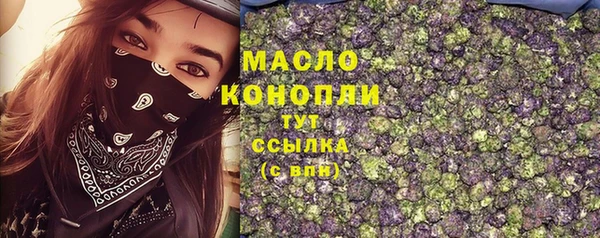 дмт Няндома