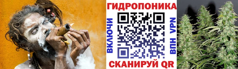 Купить закладки  Старый Крым  Шишки марихуана индика 